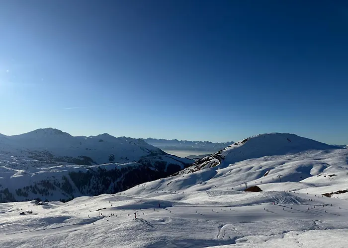 Ski-in Ski-out Duplex * La Plagne-Tarentaise