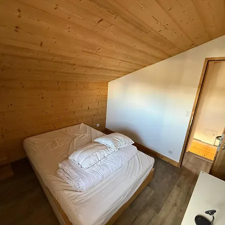 Ski-in Ski-out Duplex * La Plagne-Tarentaise