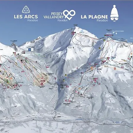 Ski-in Ski-out Duplex * La Plagne-Tarentaise